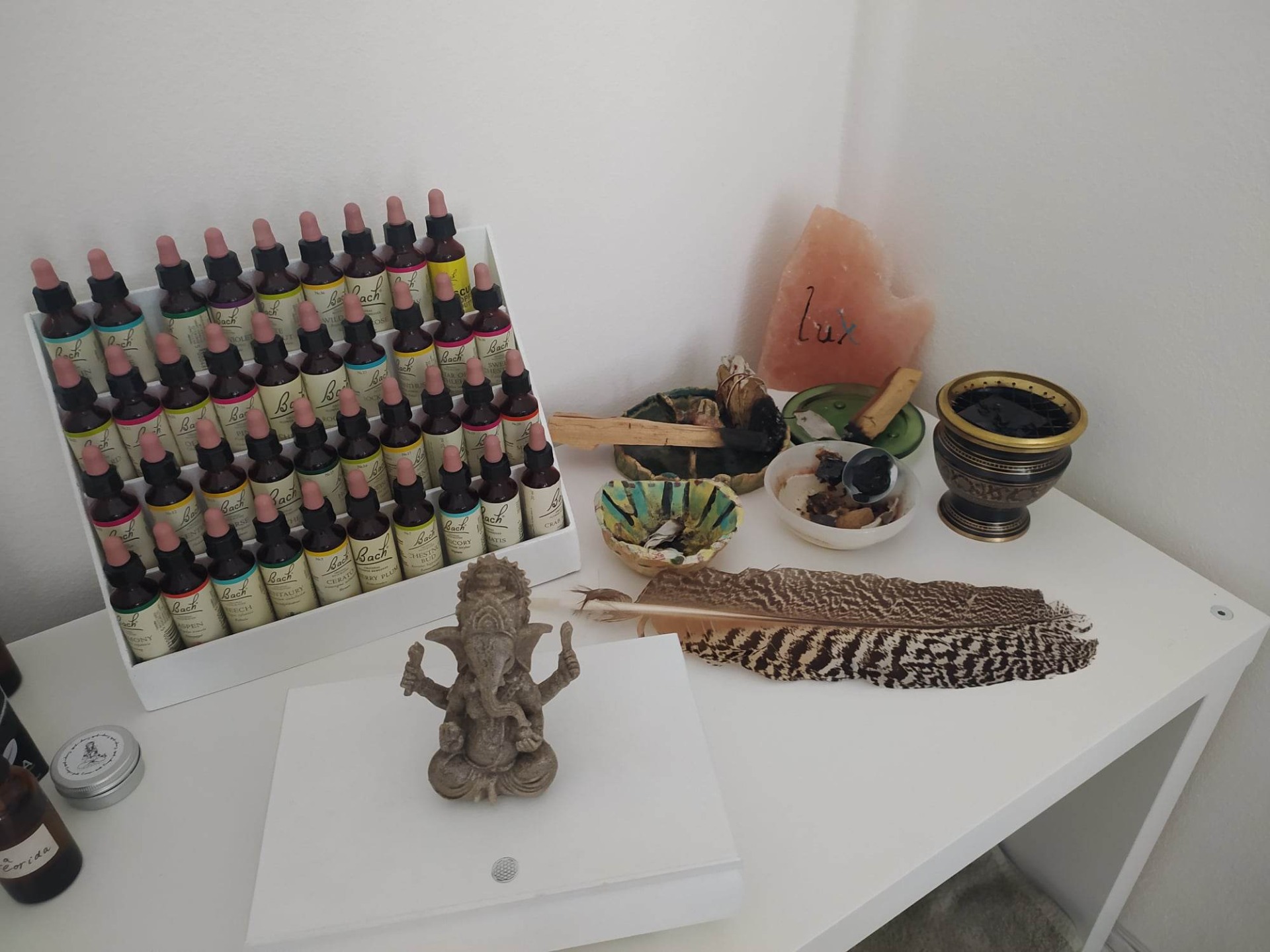 Bachovy esence pro každého